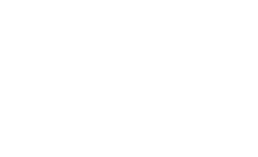 The Ambition Fund